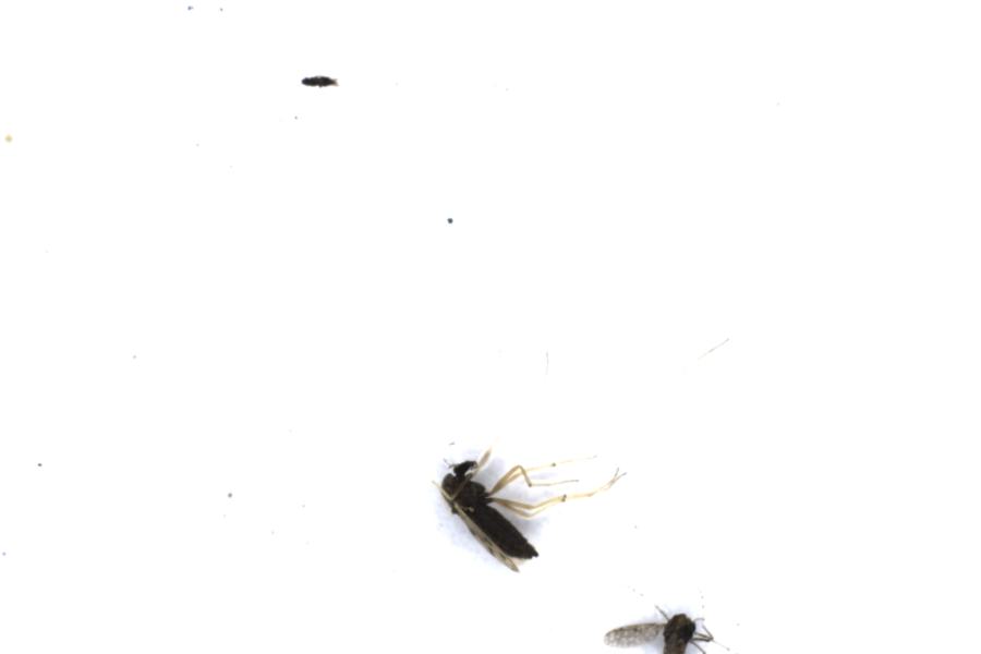 Image 22